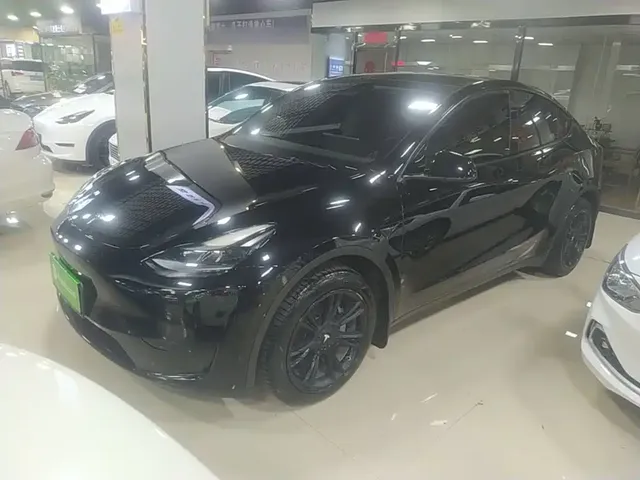Tesla Model Y 2022 Rear-Wheel Drive Version