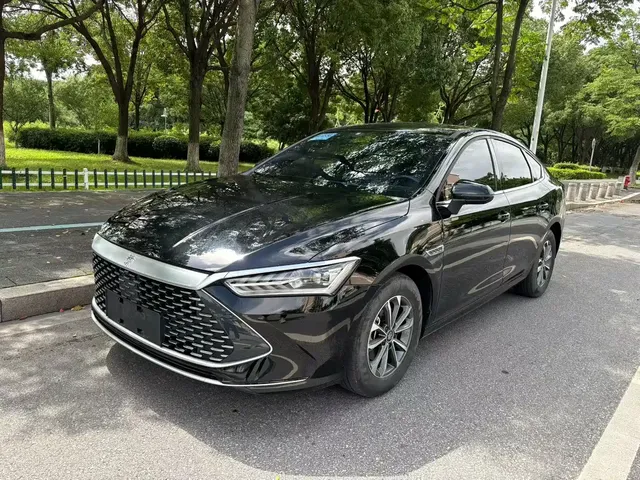 BYD Qin PLUS 2024 Glory Edition DM-i 55KM Leading