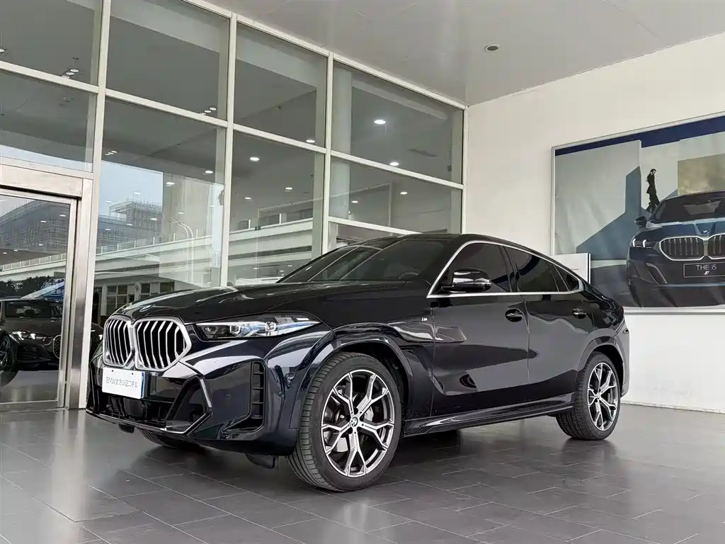BMW X6 2023 xDrive40i M Sport Package