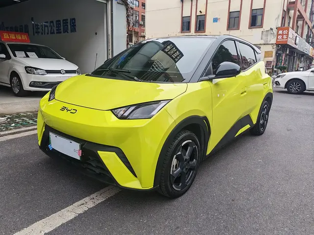 BYD Seagull 2024 Glory Edition 305km Freedom Edition