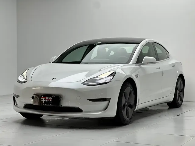 Tesla Model 3 (Import) 2019 Long Range RWD Version