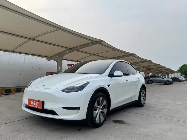 Tesla Model Y 2022 Rear-Wheel Drive Version