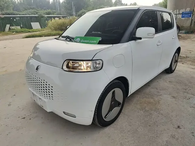 Ora White Cat 2020 360km Luxury Model