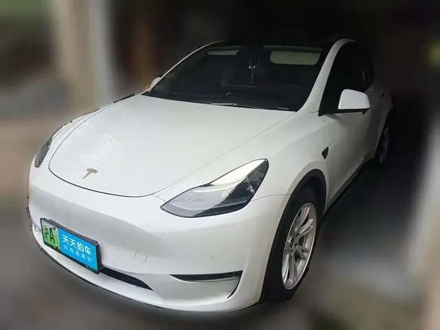 Tesla Model Y 2021 Standard Range Rear-Wheel Drive