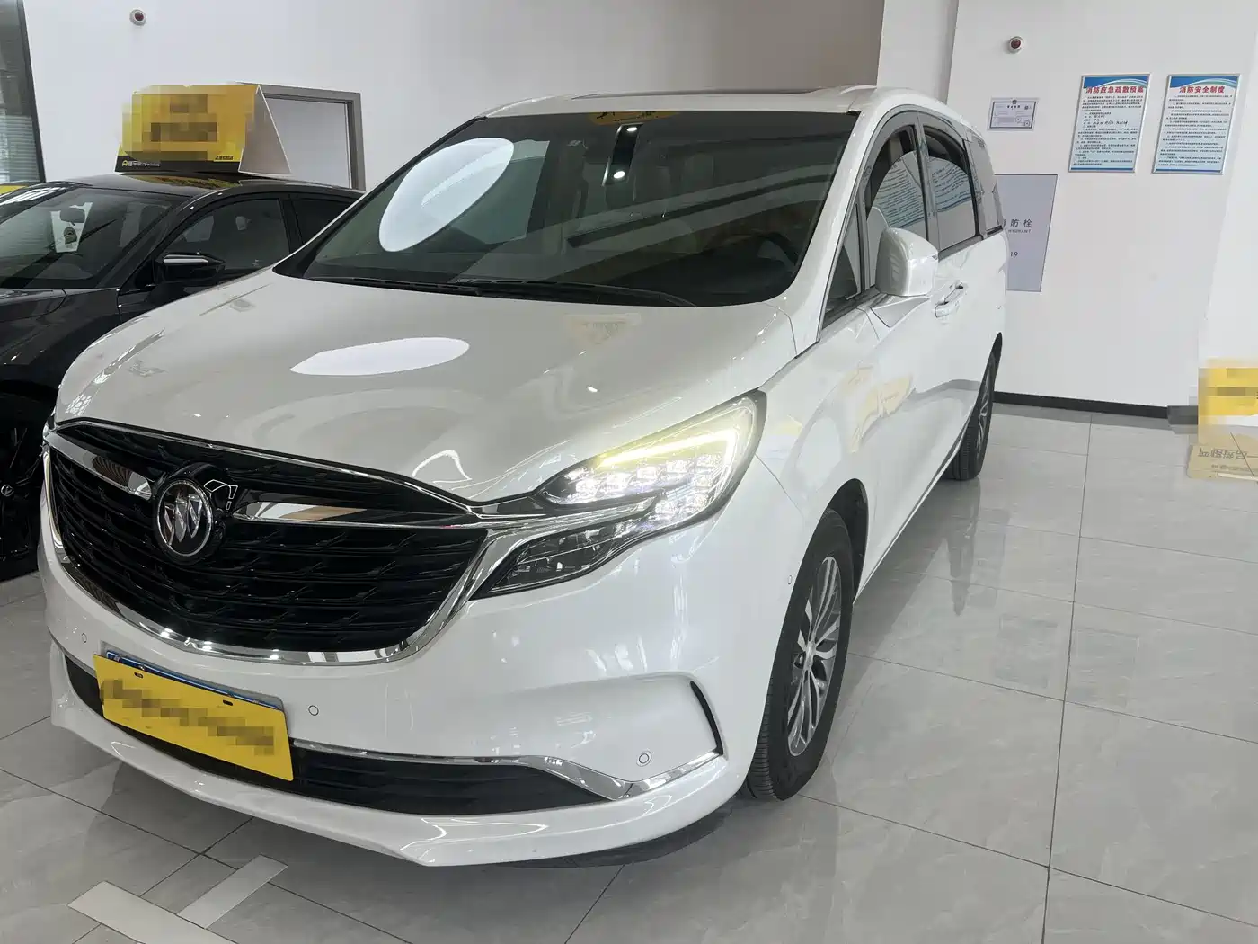 Buick GL8 2022 ES Landmark 653T Premium