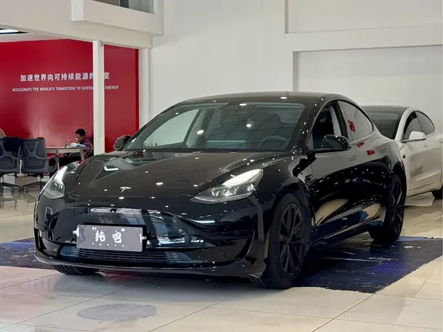Tesla Model 3 2021 Standard Range Rear-Wheel Drive Upgrade