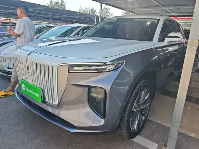 Hongqi E-HS9 2021 460km Flagship Comfort 6-seater