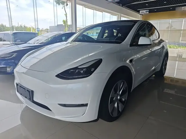 Tesla Model Y 2021 Standard Range Rear-Wheel Drive