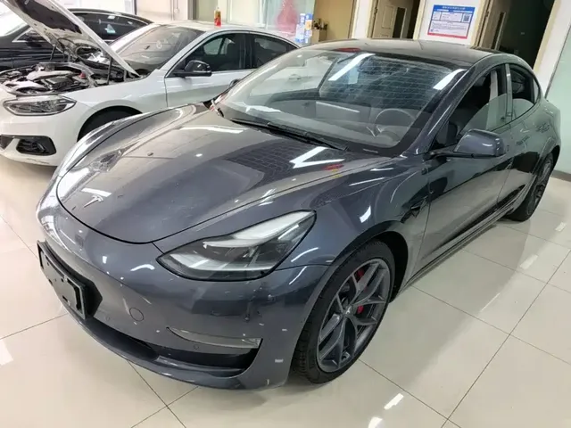 Tesla Model 3 2021 Performance High-Performance All-Wheel Drive
