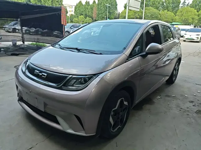 BYD Dolphin 2021 Model 405km Fashion Edition