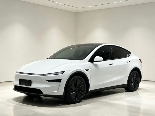 Tesla Model Y 2025 Rear-Wheel Drive