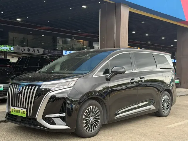 Denza D9 2022 EV 600 4WD Flagship