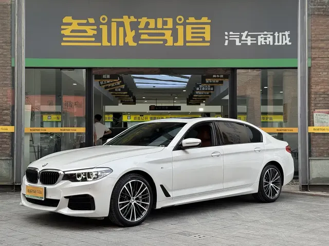 BMW 5 Series 2019 530Li Leading M Sport Package