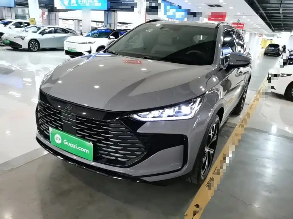 BYD Tang New Energy 2025 DM-i 115KM Premium