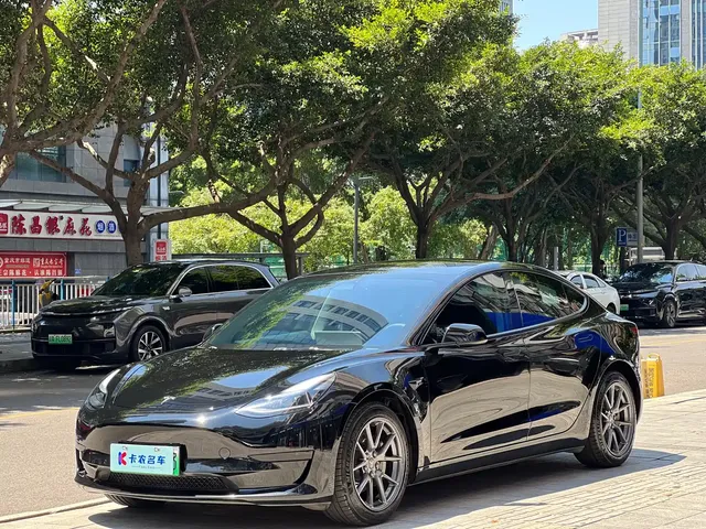 Tesla Model 3 2022 Model Rear-Wheel Drive Version