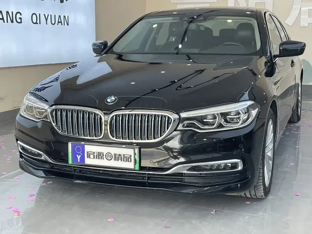 BMW 5 Series New Energy 2019 530Le Luxury Package
