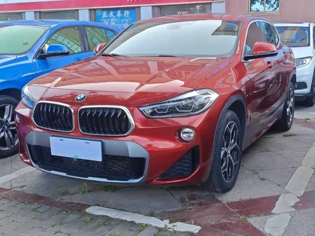 BMW X2 (Import) 2019 sDrive20i M Off-Road Package China VI