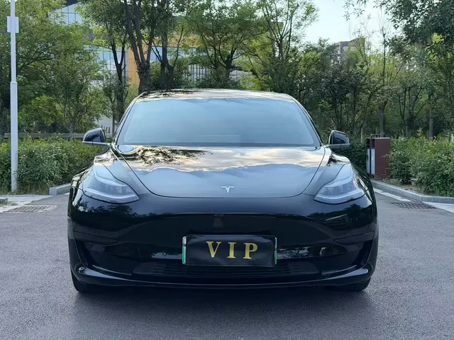 Tesla Model 3 2020 Standard Range Rear-Wheel Drive Upgrade