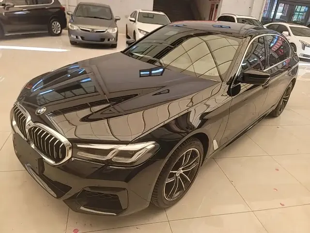 BMW 5 Series 2021 530Li Leading Luxury Package