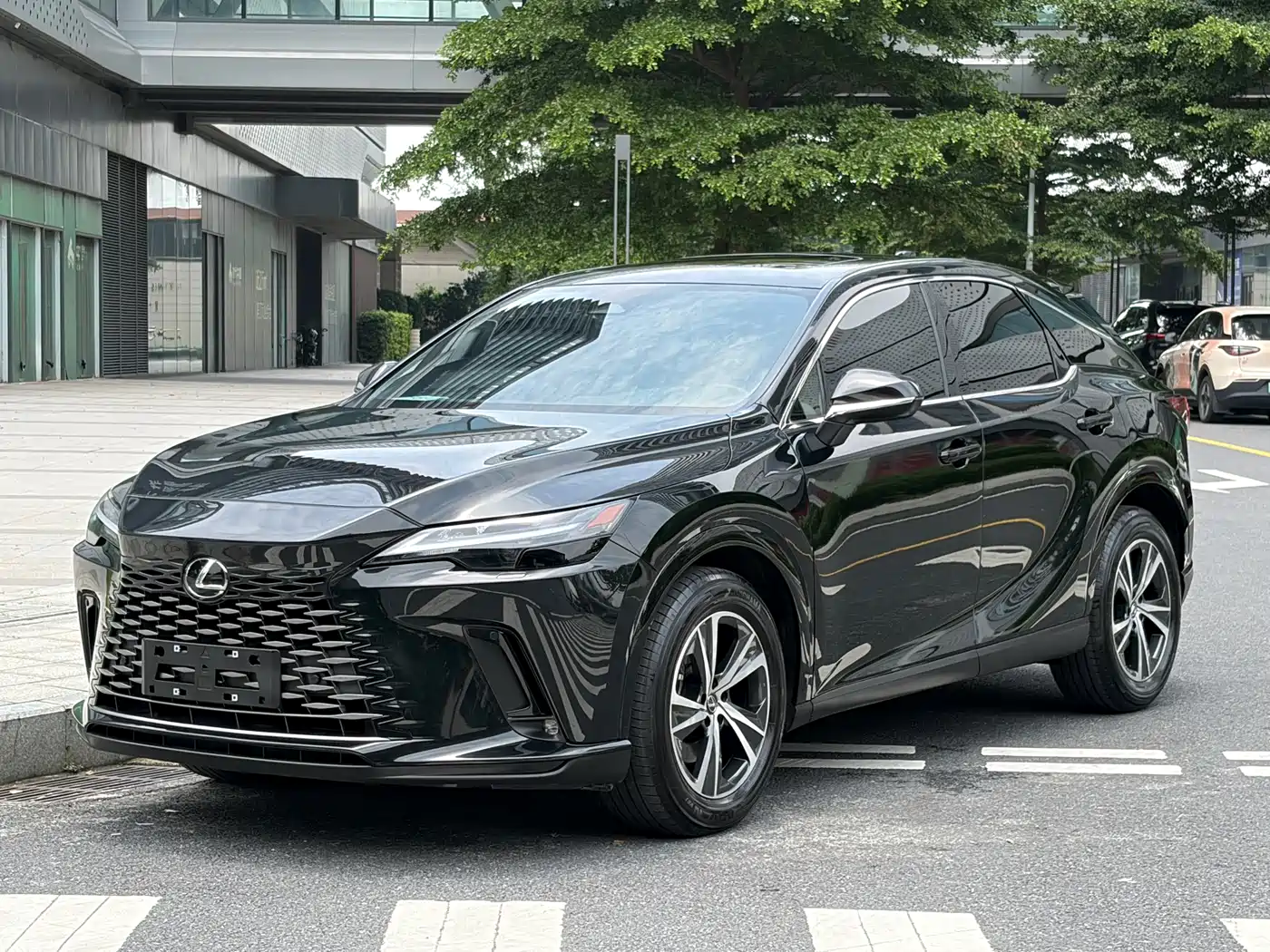 Lexus RX 2025 300 4WD Premium Edition