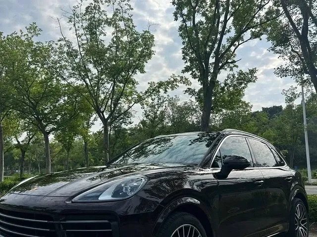 Porsche Cayenne 2022 Cayenne 3.0T Platinum Edition
