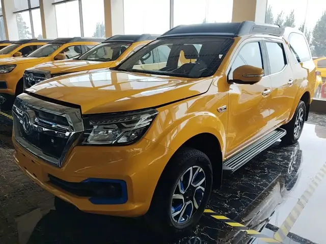 Dongfeng Rich 6 New Energy 2023 Palasso Van Standard Edition 320km