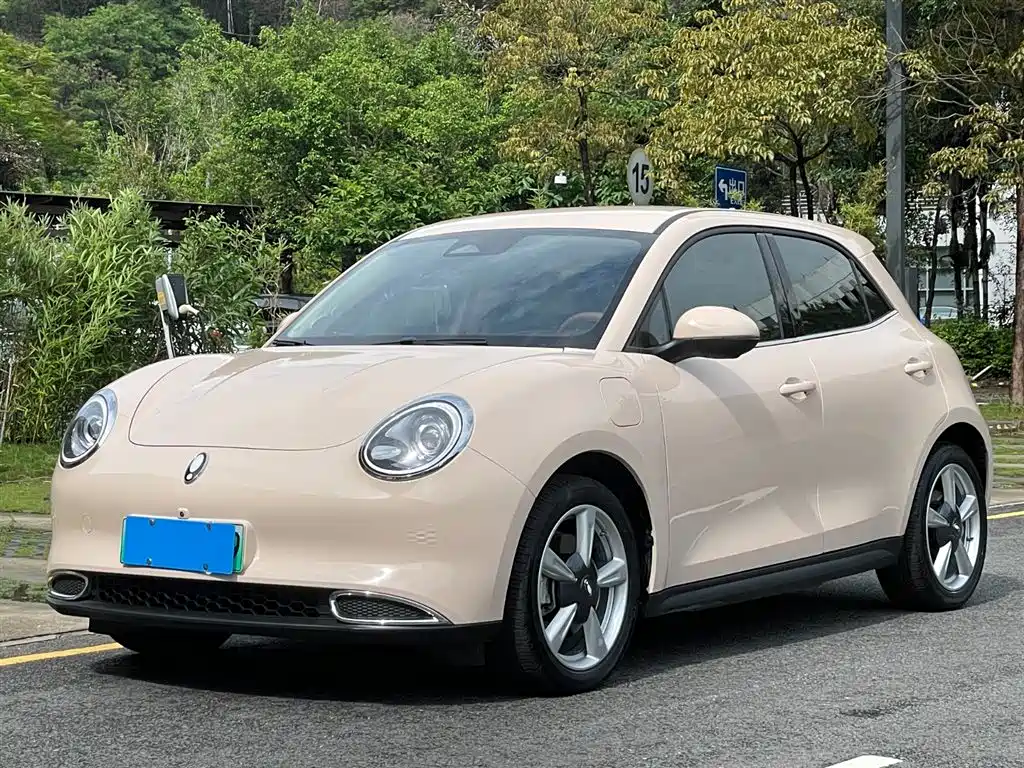 Ora Good Cat 2023 401km Standard Range Luxury LFP