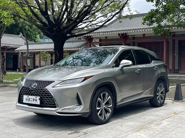 Lexus RX 2020 300 4WD Elegance Edition China VI