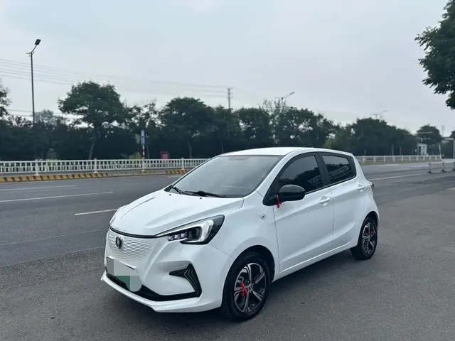 Changan Benben E-Star 2022 Appreciation Edition Colorful LFP