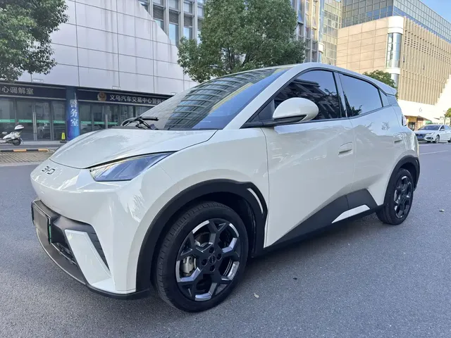 BYD Seagull 2025 305km Freedom