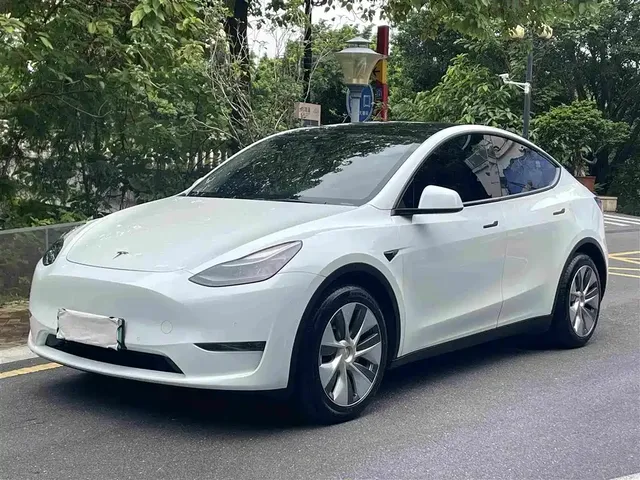 Tesla Model Y 2021 Standard Range Rear-Wheel Drive