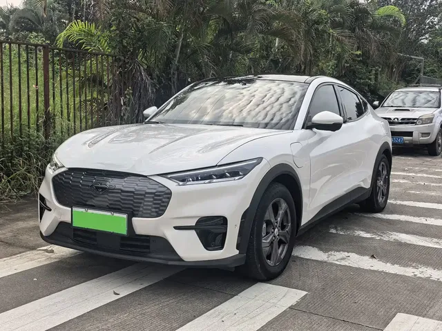 Ford Mustang Mach-E 2021 Leap World RWD (Standard Range)