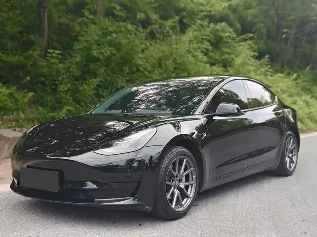 Tesla Model 3 2022 Model Rear-Wheel Drive Version