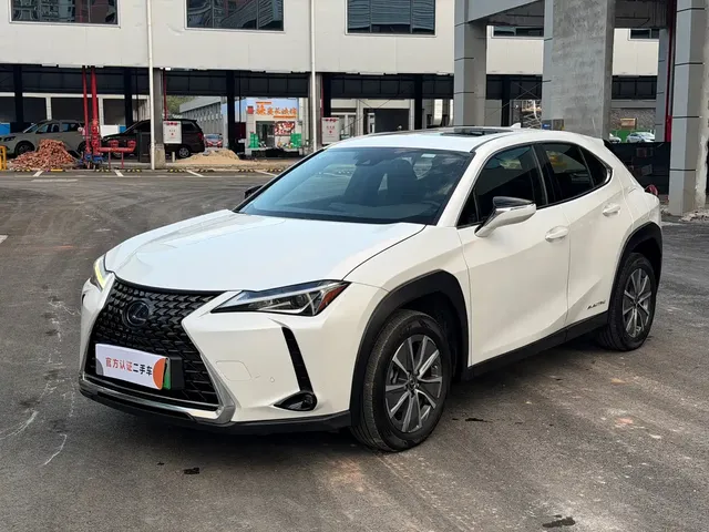Lexus UX Electric 2020 300e Pure Yue Edition