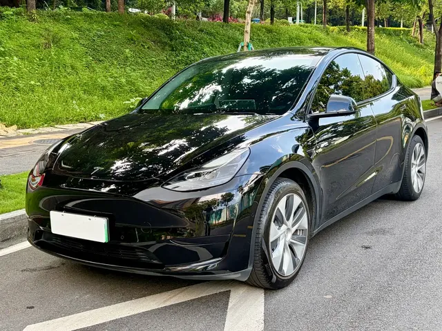 Tesla Model Y 2022 Rear-Wheel Drive Version