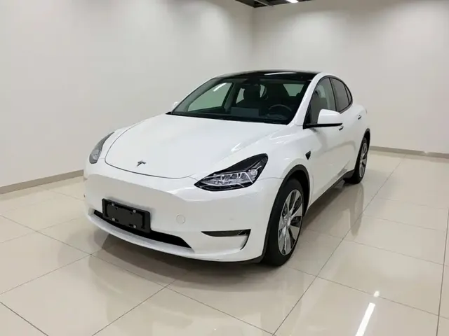 Tesla Model Y 2021 Long Range All-Wheel Drive 3D7