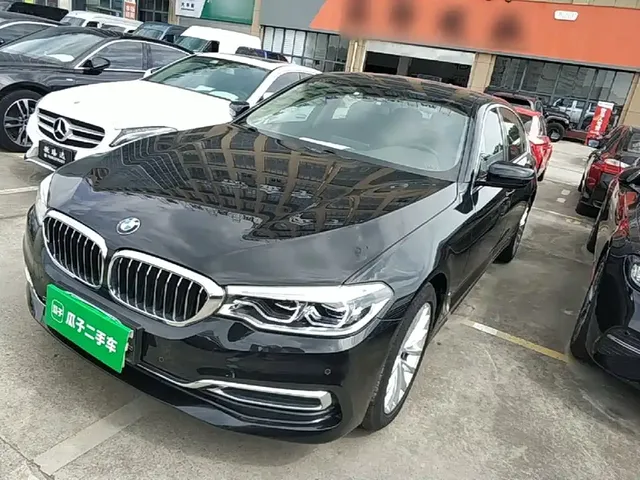 BMW 5 Series 2020 530Li Leading Luxury Package