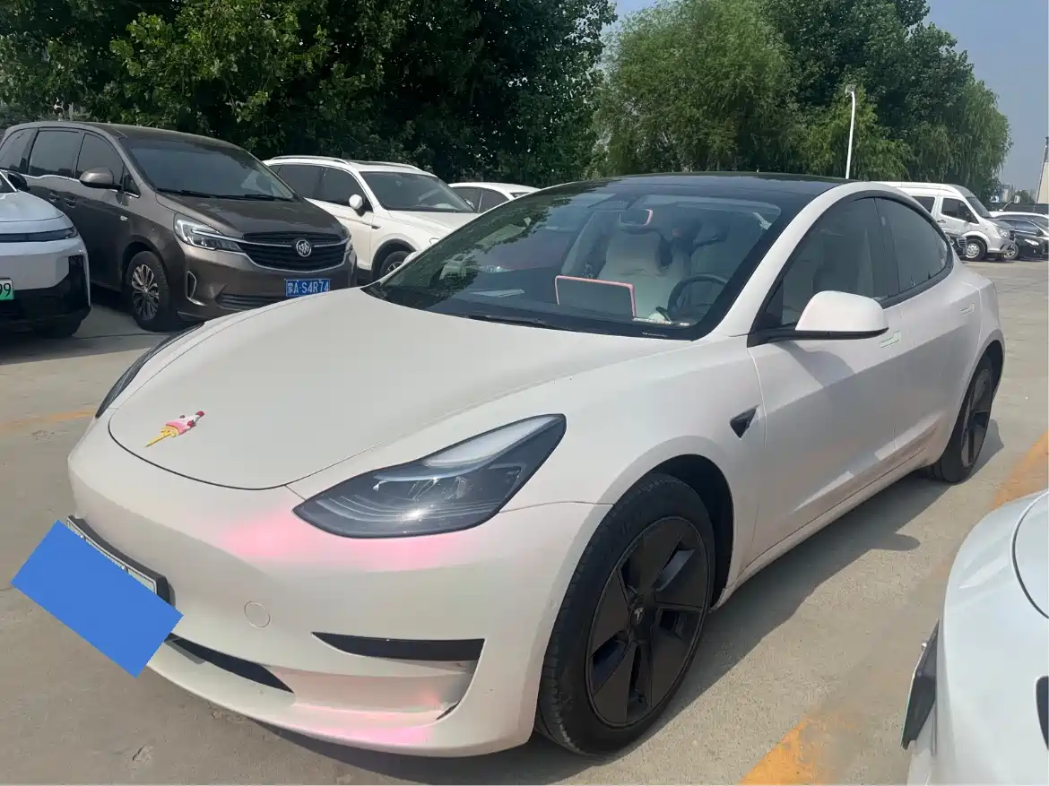 Tesla Model 3 2022 Model Rear-Wheel Drive Version