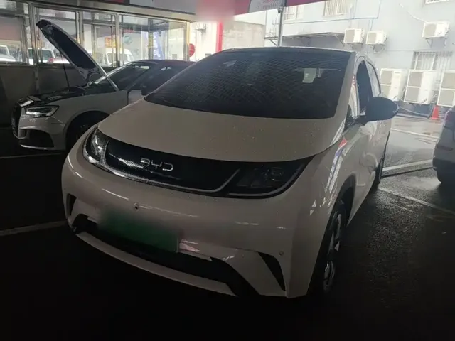 BYD Dolphin 2025 420km Fashion Edition
