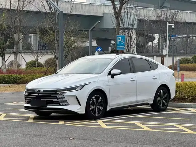 BYD Destroyer 05 2023 Champion Edition DM-i 55KM Premium
