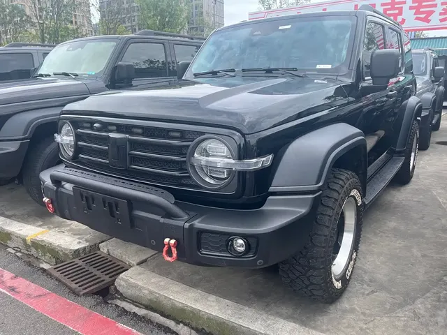 Tank 300 2021 Off-road Version 2.0T Conqueror