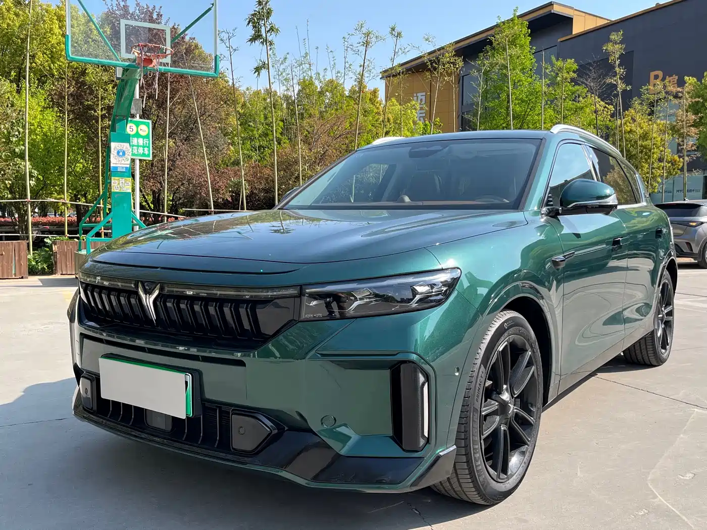 Voyah Auto VOYAH FREE 2024 Ultra Long Range Intelligent Driving Edition
