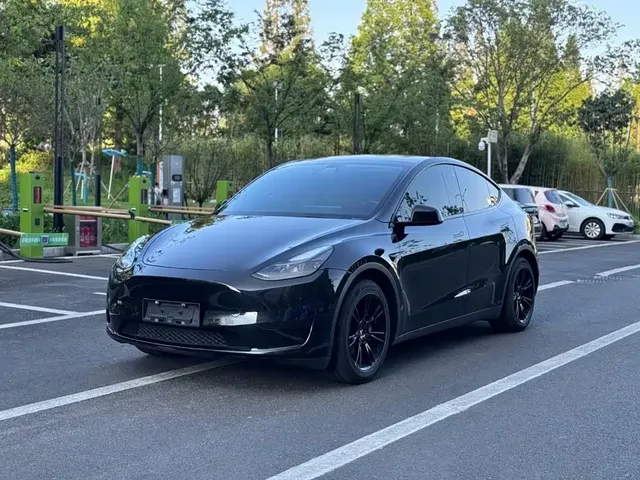Tesla Model Y 2022 Rear-Wheel Drive Version