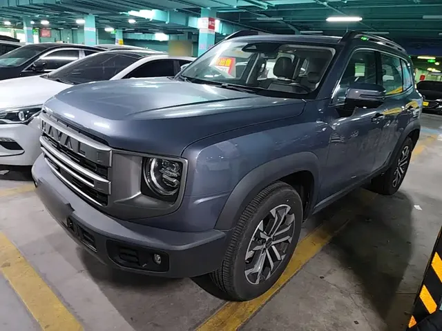 Haval Big Dog 2024 1.5T DCT Border Collie Edition
