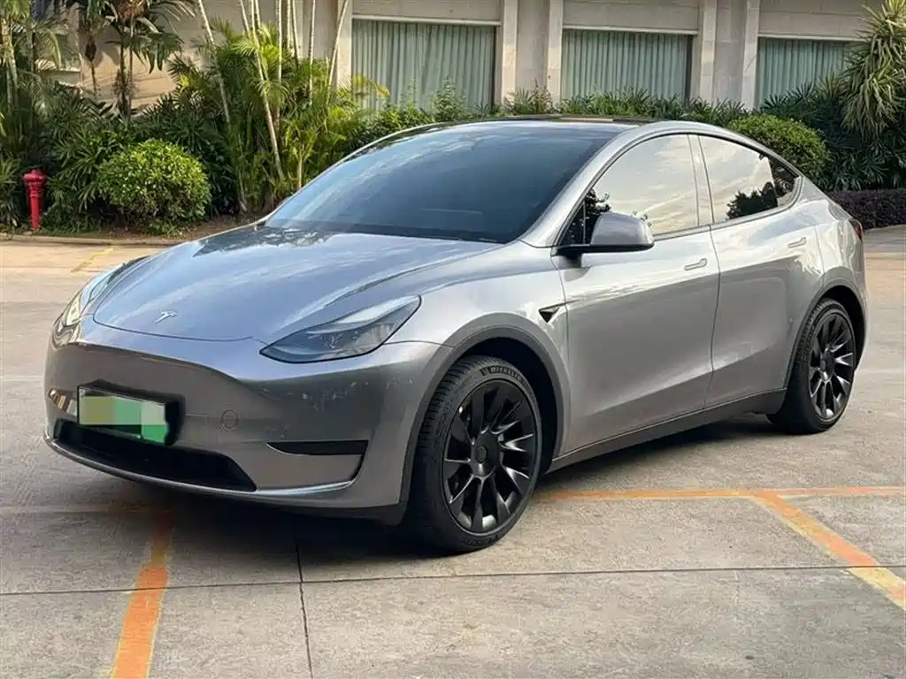 Tesla Model Y 2024 Rear-Wheel Drive Version