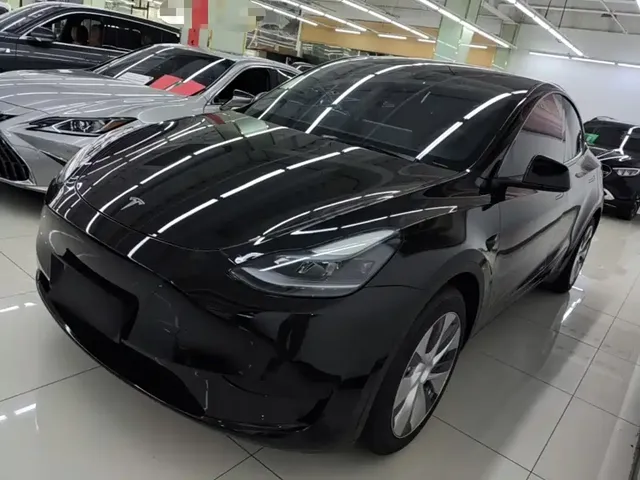 Tesla Model Y 2022 Rear-Wheel Drive Version