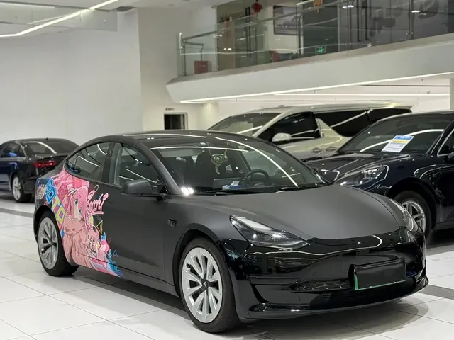 Tesla Model 3 2021 Standard Range Rear-Wheel Drive Upgrade 3D6