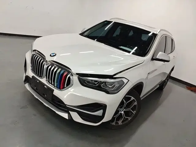 BMW X1 2020 sDrive20Li Fashion Model