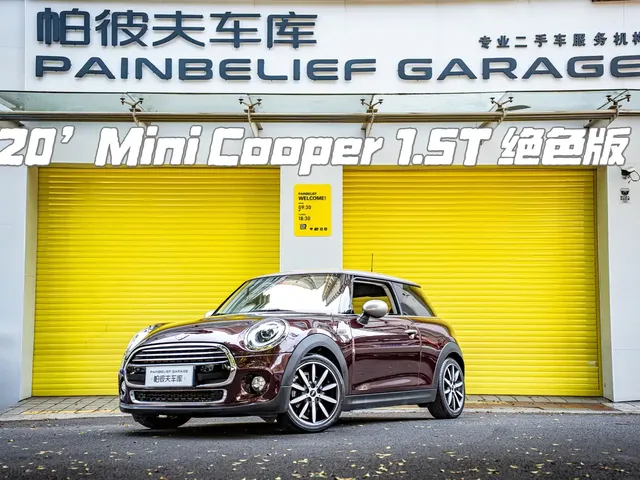 MINI MINI 2019 1.5T COOPER Artist