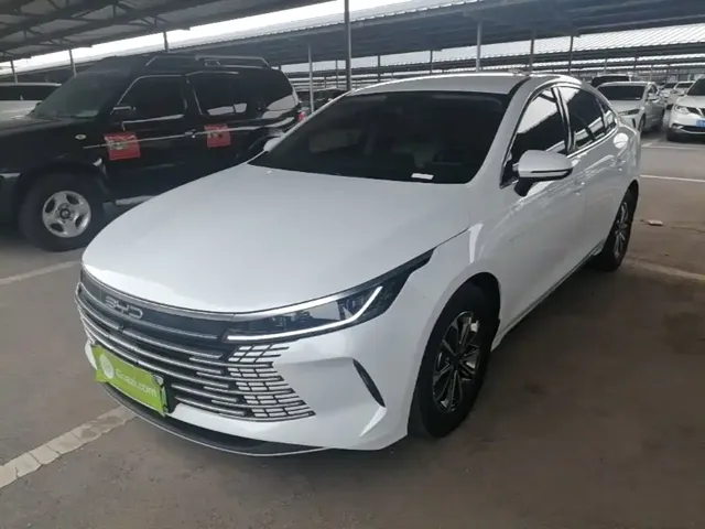 BYD Destroyer 05 2024 Glory Edition DM-i 55KM Luxury